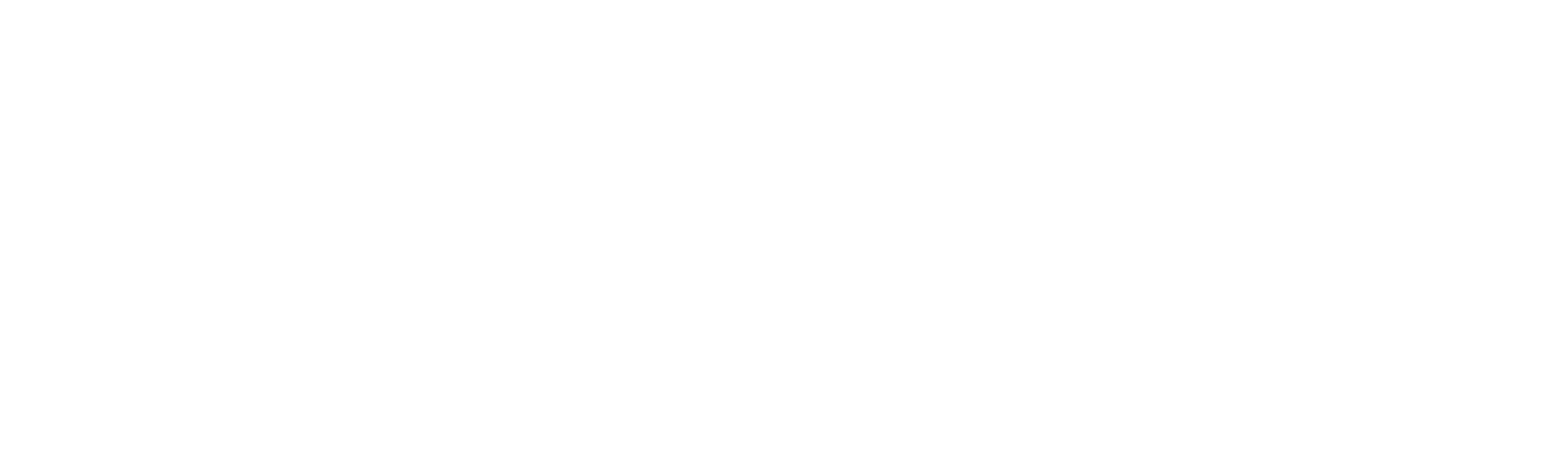 BAYAN Logo white